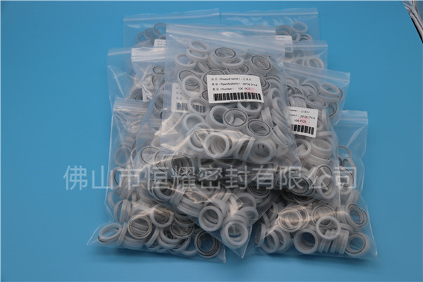 HOB、HVB孔用泛塞封 (17)