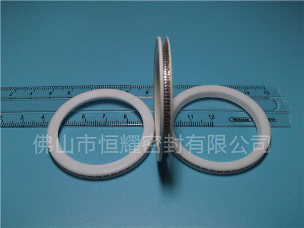 HVF、HVG端面内、外向泛塞封 (10)
