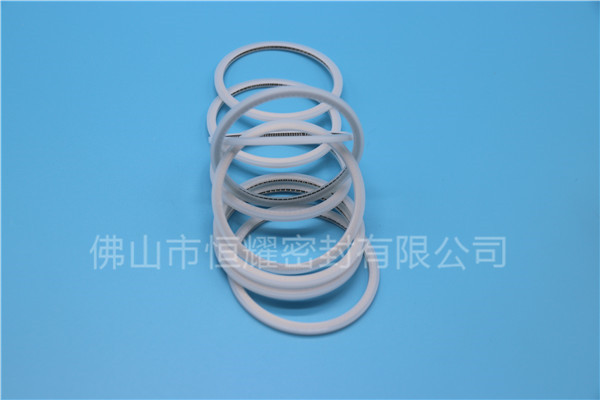 HVF、HVG端面内、外向泛塞封 (15)