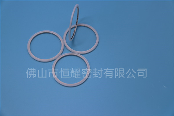 HVF、HVG端面内、外向泛塞封 (20)