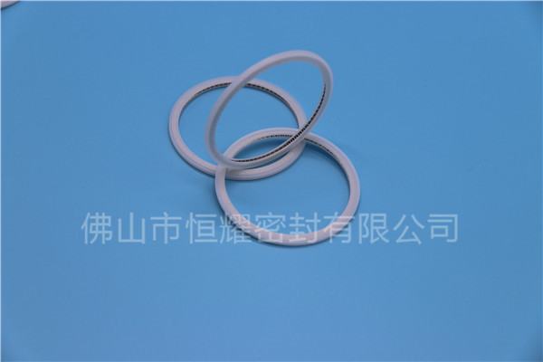 HVF、HVG端面内、外向泛塞封 (21)