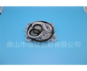 HOB、HVB孔用泛塞封 (7)