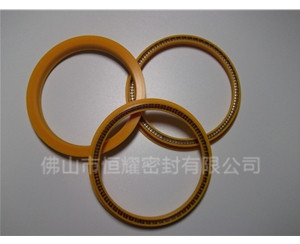 HOD、HVD旋转泛塞封 (8)
