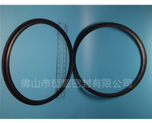 HOD、HVD旋转泛塞封 (13)