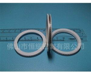 HVF、HVG端面内、外向泛塞封 (10)