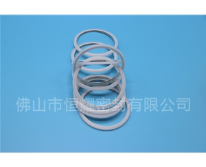HVF、HVG端面内、外向泛塞封 (15)