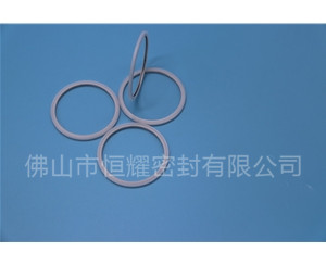 HVF、HVG端面内、外向泛塞封 (20)