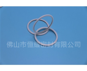 HVF、HVG端面内、外向泛塞封 (21)