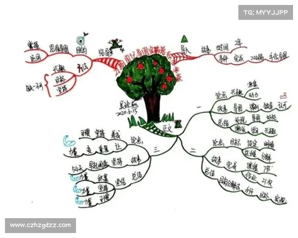 提升战斗技巧的有效方法有哪些从基础训练到实战经验全方位解析 提升战斗技巧的有效方法有哪些从基础训练到实战经验全方位解析